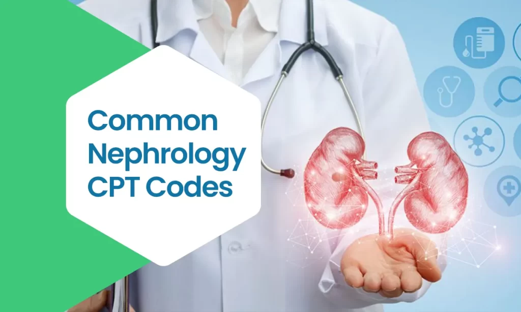 Common Nephrology CPT Codes