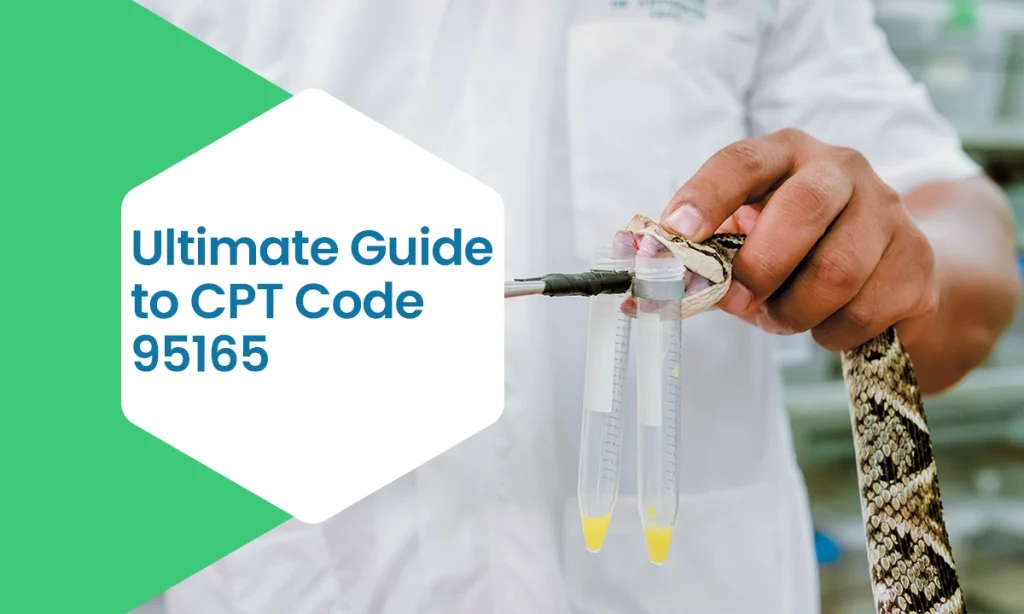 CPT Code 95165