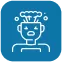 Icon 2